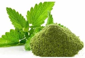 Dehydrated Mint Powder