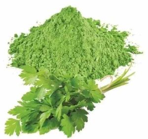 Dried Coriander Leaves Powder