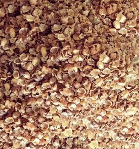 Chana Chilka Cattle Feed
