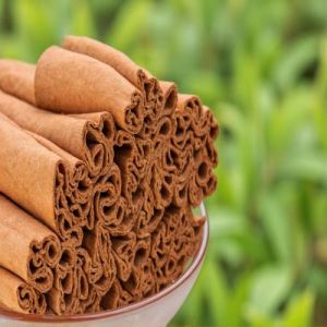 Cinnamon Stick