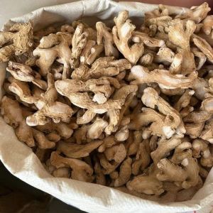 dry ginger