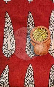 Red and White Bagh Print Cotton Suit Material