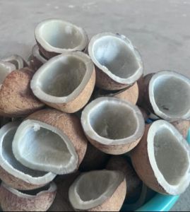 Coconut Copra