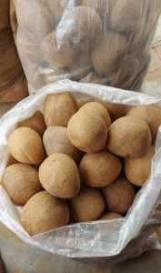 Coconut Copra