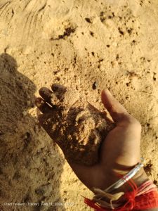 Wood Dust