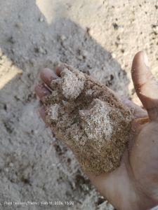 Wood Dust