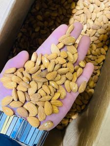 California Almond Nuts