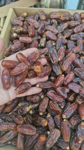 Iranian Dates