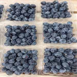 Fresh Blueberry