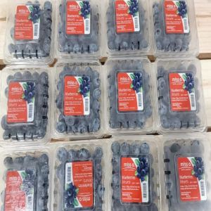 Fresh Blueberry