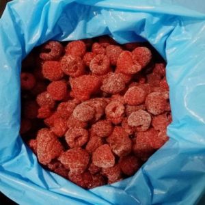 Fresh Raspberry