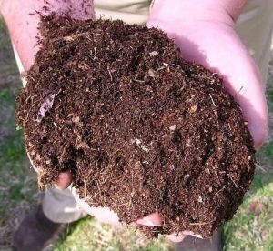 Vermicompost Fertilizer