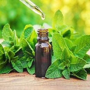 Menthol Mint Extract Oil