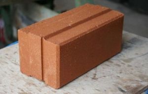 Solid Mud Interlock Brick