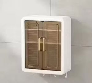 Wall Mounted Multipurpose Storage Cabinet