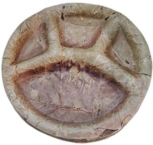 Plain Sal Leaf Plate