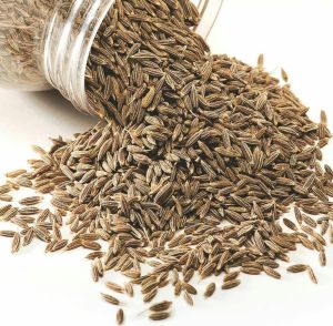 Cumin Seeds