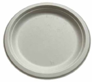 10 Inch Round Sugarcane Bagasse Biodegradable Disposable Plate