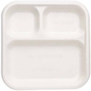 10 Inch Square 3CP Sugarcane Bagasse Biodegradable Disposable Plate