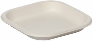 10 Inch Square Sugarcane Bagasse Biodegradable Disposable Plate