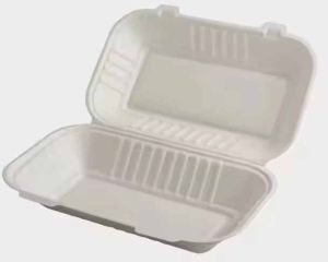 10x9 Inch Sugarcane Bagasse Biodegradable Disposable Clamshell Box