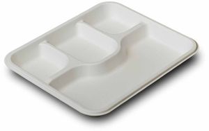 12 Inch 4CP Sugarcane Bagasse Biodegradable Disposable Plate