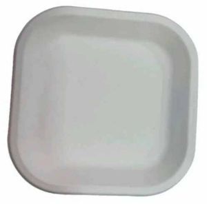 12 Inch Square Sugarcane Bagasse Biodegradable Disposable Plate