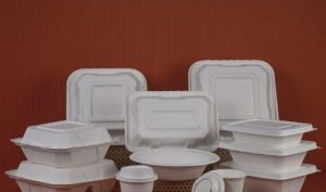 Sugarcane Bagasse Biodegradable Disposable Tableware