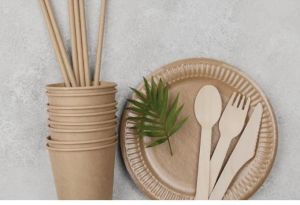 Sugarcane Bagasse Biodegradable Disposable Tableware