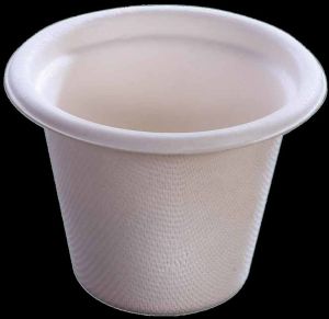 Sugarcane Bagasse Biodegradable Disposable Glass