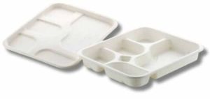 5 Compartment Sugarcane Bagasse Biodegradable Disposable Meal Tray With Lid