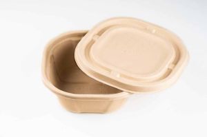 500ml Sugarcane Bagasse Biodegradable Disposable Food Container with Lid