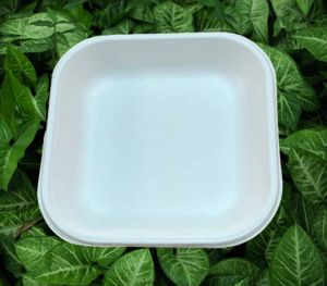 6 Inch Square Sugarcane Bagasse Biodegradable Disposable Plate