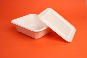 750ml Sugarcane Bagasse Biodegradable Disposable Bowl with Lid