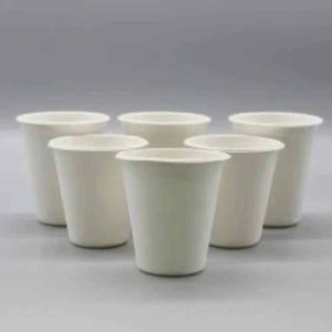 8 OZ Sugarcane Bagasse Biodegradable Disposable Cup