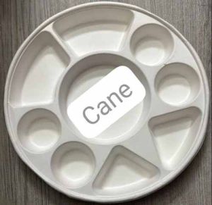 9 Compartment Sugarcane Bagasse Biodegradable Disposable Meal Tray