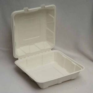 9X9 Inch Sugarcane Bagasse Biodegradable Disposable Clamshell Box