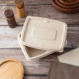 Rectangular Sugarcane Bagasse Biodegradable Disposable Container Lid