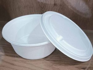 White Sugarcane Bagasse Biodegradable Disposable Food Container