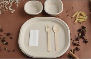 Sugarcane Bagasse Biodegradable Disposable Tableware