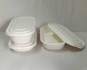 Oval Sugarcane Bagasse Biodegradable Disposable Food Container