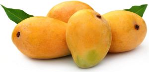 Fresh Alphonso Mangoes