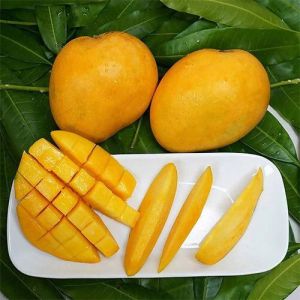 Fresh Banganapalli Mango