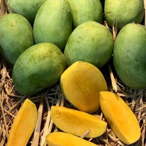 Fresh Langra Mango