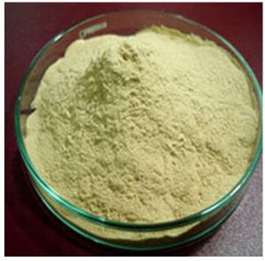 Active Dry Yeast