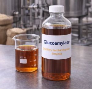 Glucoamylase Enzyme