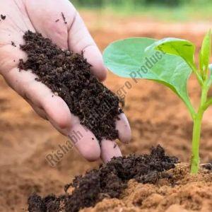 Cow Dung Manure