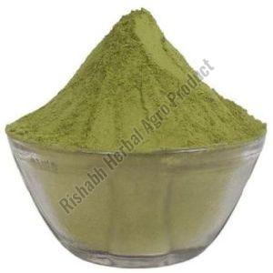 Giloy Leaves Powder