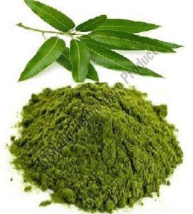 Mango Leaves Powder
