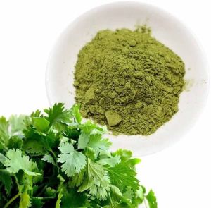 Dehydrated Coriander Powder